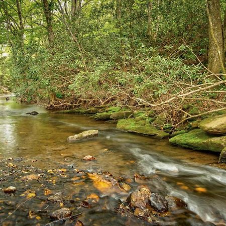 Hidden Creek Cabin Fleetwood Esterno foto